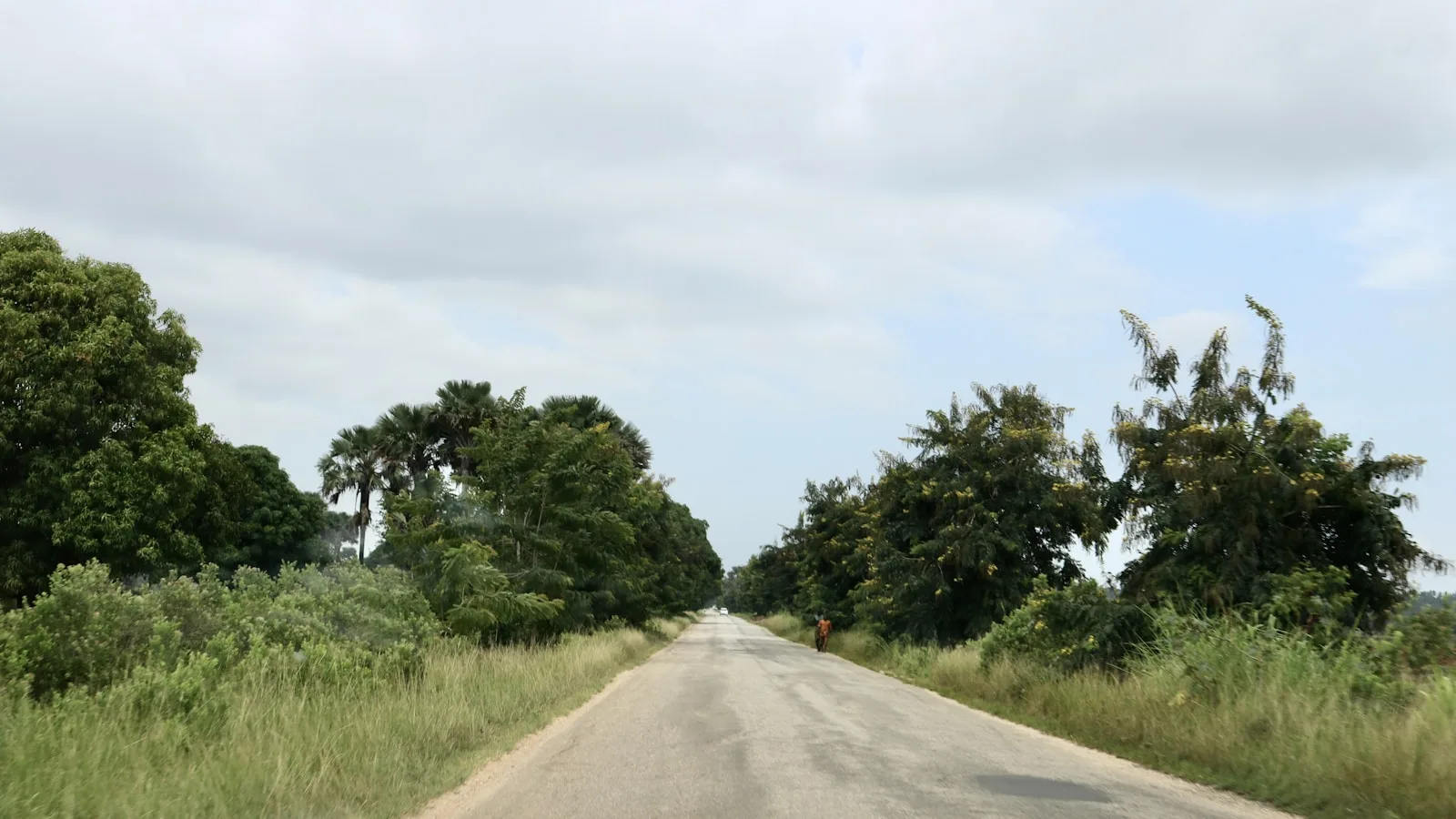 Route de campagne à Zanzibar avec nids-de-poule