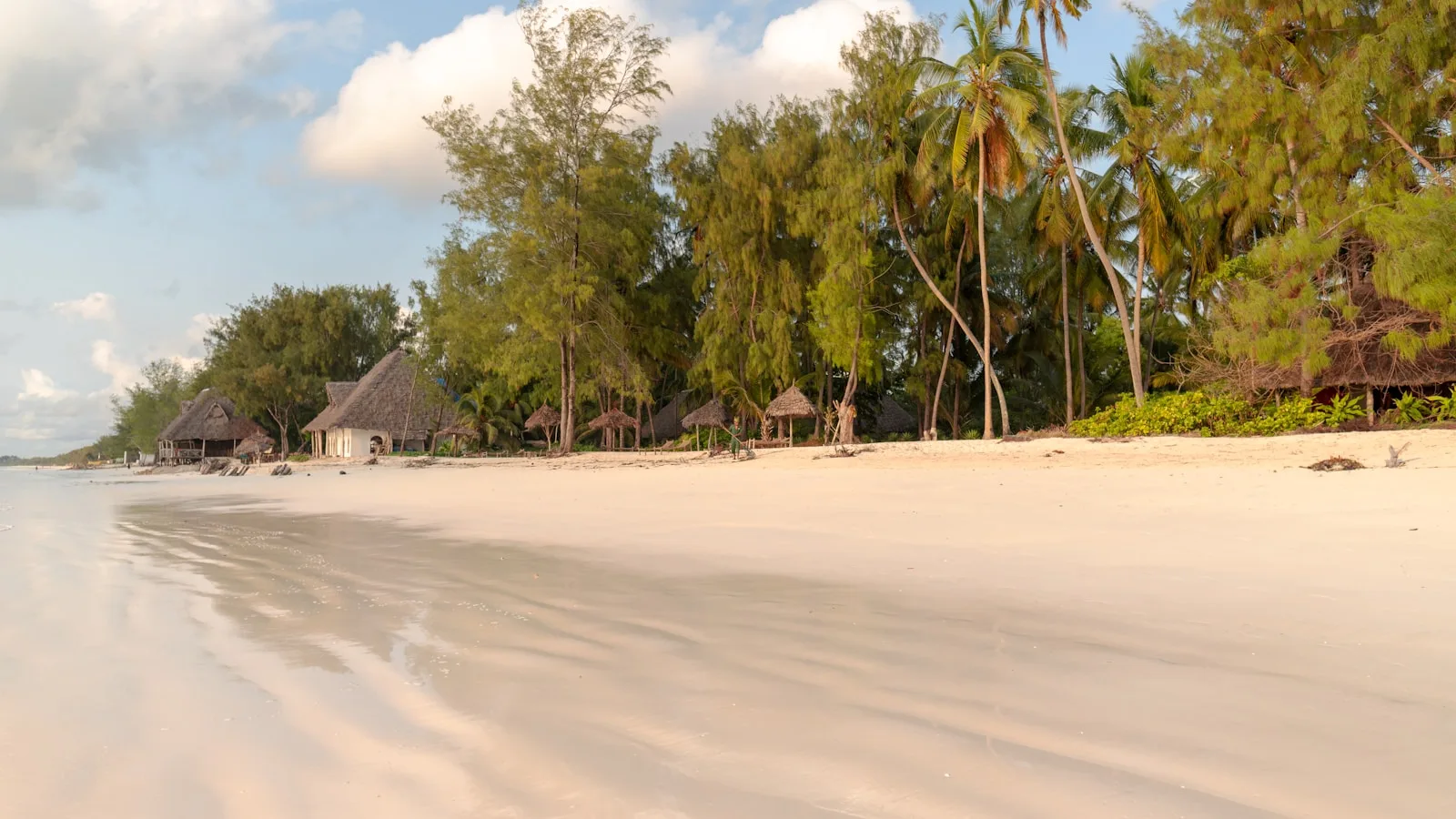 Pemba ou Zanzibar (Unguja) : laquelle choisir ?